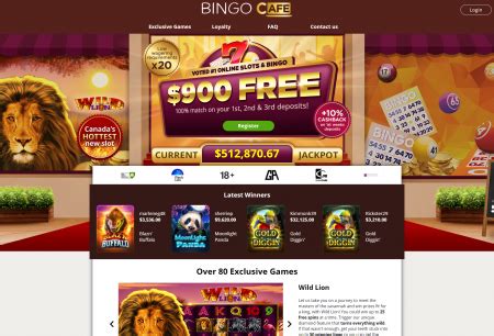 Bingo cafe casino download