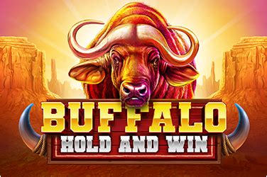 Buffalo Hold And Win Novibet