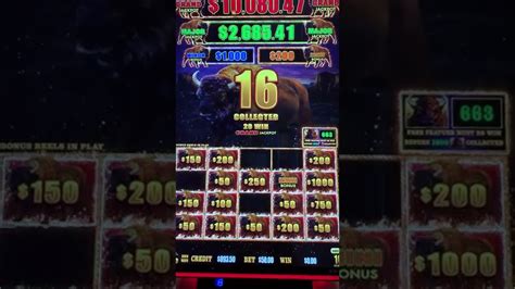 Buffalo bet casino Peru