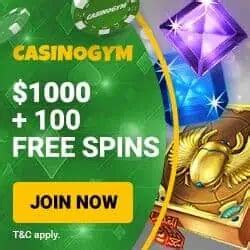 Casinogym online