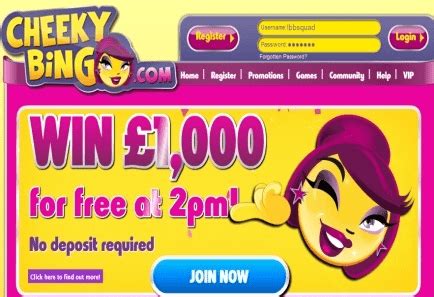 Cheeky bingo casino online