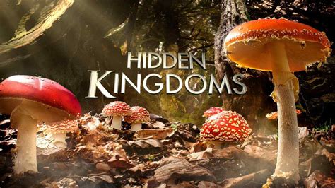 Hidden Kingdom Bodog