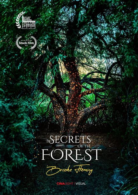 Secrets Of The Forest 1xbet